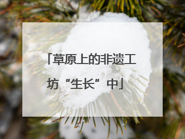 草原上的非遗工坊“生长”中